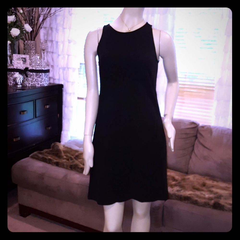 Ann Taylor Dress